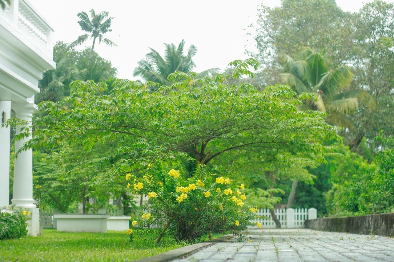 Muziris Harbour View Hotel Kochi Eksteriør billede